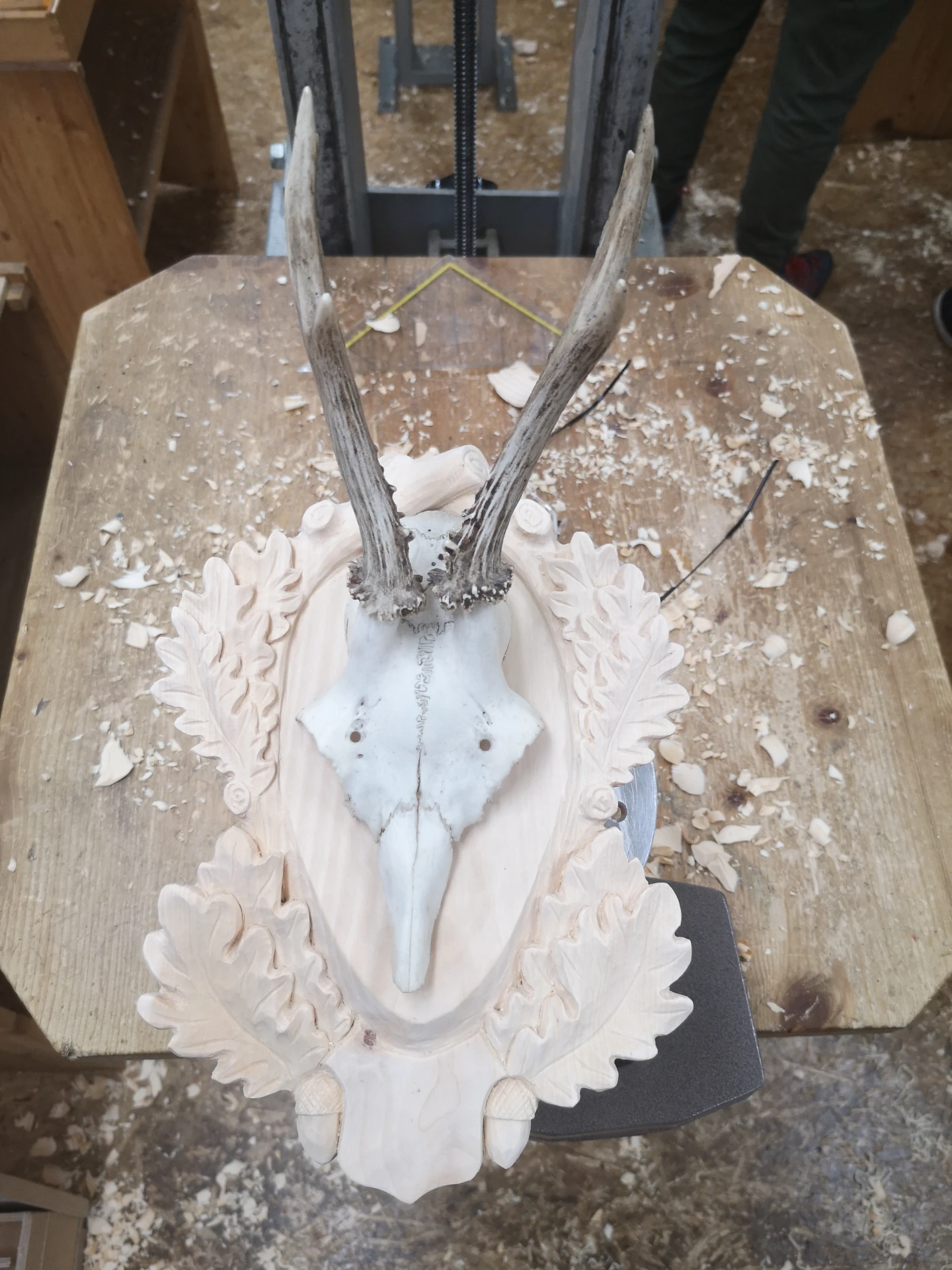 Preis 350,- Euro / Stk. (ohne Trophäe)